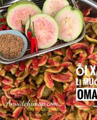 ổi xá lị sấy ô mai