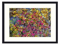 OiArt Wall Art Print Wood Framed Home Decor Picture Artwork(24x16 inch) - Fusaggine The Priest Biretta Priest Hat