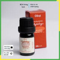 Oilogi Tinh dầu Xông Giải Cảm 5ml chiết xuất của 9 loại dược liệu giảm các triệu chứng của cảm cúm cảm lạnh như ngạt mũi
