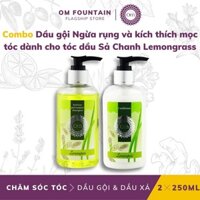 OM FOUNTAIN - COMBO DẦU GỘI NGỪA RỤNG VÀ KÍCH THÍCH MỌC TÓC DÀNH CHO TÓC DẦU SẢ CHANH LEMONGRASS 250ML