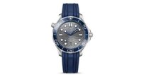 Omega Seamaster 300 Professional Diver 210.32.42.20.06.001 21032422006001