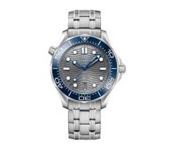 Omega Seamaster 300 Professional Diver 210.30.42.20.06.001 21030422006001