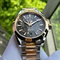 Omega Seamaster Aqua Terra GMT 42.5mm 231.20.43.22.06.003
