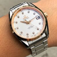 Omega Seamaster Aqua Terra 231.20.39.21.52.003