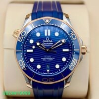 Omega Seamaster Diver 300 Co-Axial Master Chronometer 210.22.42.20.03.001
