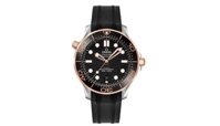 Omega Seamaster Diver 300 Calibre 8800 210.22.42.20.01.002 21022422001002