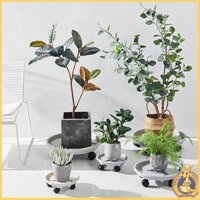 Omg * Khay đựng chậu hoa có con lăn Giá đỡ nhựa vuông tròn Dụng cụ làm vườn thực tế Khay đựng hoa hạng nặng