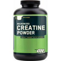 ON Creatine Powder 600g
