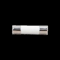 Ống cầu chì 250V-10A Vanlock FTD-10A
