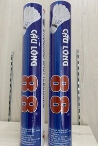 Ống cầu lông 88