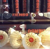 Ống cầu lông Tiến Bộ Đế Gỗ Đen