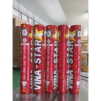 Ống cầu lông Vina-star đỏ (Loại 4 dùng luyện tập)