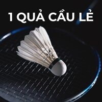 Ống cầu lông VINA STAR ( Hộp 5/6/12 quả ) quả cầu dai và bay ổn định đánh giao lưu và thi đấu[𝗛𝗔̉𝗜 𝗡𝗔𝗠 𝗦𝗣𝗢𝗥𝗧]