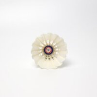 Ống cầu lông VINA STAR xanh vàng ( Hộp 12 quả ), Hàng phân phối chính thức [BẢO HÂN BOOKS]