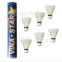 Ống Cầu Lông Vinastar loại 1 (12 trái/ ống) - hàng chất lượng cao