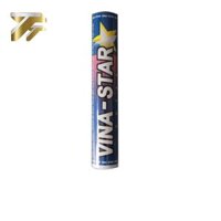 Ống cầu Vina - Star