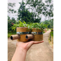 ống chườm nội tạng