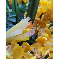 Ống hút gạo ăn được ống hút gạo thân thiện với môi trường 100 ống gói