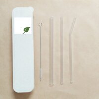 Ống Hút Thủy Tinh Trà Sữa Trân Châu  Hộp Đựng  2 Ống hút sinh tố  Cọ làm sạch ống