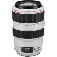 Ống kính Canon EF 70-300mm f/4-5.6L IS USM (70 300 – Cũ)