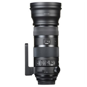Ống kính - Lens Sigma 150-600mm f/5-6.3 DG OS HSM Sports For Nikon