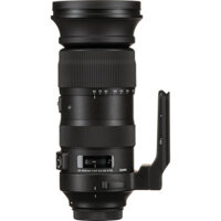 Ống kính Sigma 60-600mm f/4.5-6.3 DG OS HSM  for Canon EF