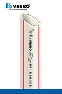 Ống nóng PPR D40PN20 Vesbo