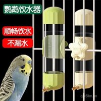 Ống phân phối nước cho chim, bình nước cho chim, thiết bị cấp nước tự động, dụng cụ cho chim ăn, phụ kiện lồng chim