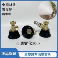 Ống phun không dây Cyclone đen, súng nước điện bằng pin lithium, đầu nối nhanh đặc biệt, vòi rửa xe, dụng cụ tưới hoa thuốc trừ sâu