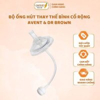 Ống Tập Hút Thay Thế Bình  Avent &  Dr Brown Có Chống Sạc, Chống Đầy Hơi Cho Bé