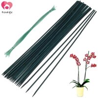 Ống thép bọc nhựa Phi 8 dùng làm giá đỡ cây Hoa Hồng, cà chua, dàn cho dây leo -- Bộ 30 Que Tre Hỗ Trợ Trồng Cây + 30 Que Tre + 30 Cái Cà Vạt