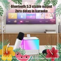 oofr [HÀNG SẴN] Loa Bluetoofrth Karaoke Mini K18 kèm 2 mic không dây - đèn LED đầy màu sắc