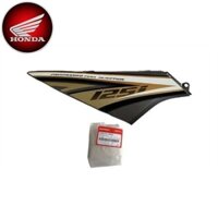 Ốp cốp phải Future Neo FI 2008 (64800KYL900ZA)