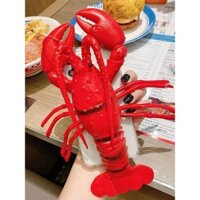 Ốp điện thoại Apple cua tôm hùm 3D phù hợp cho iPhone 7 / 7plus / 8 / 8plus / x / xs / 11 / 12 / 13 / 14 / 15 / pro / max / promax / plus Vỏ bảo vệ người nổi tiếng trên internet mềm ngộ nghĩnh