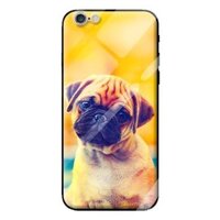 Ốp kính cường lực cho iPhone 6s Plus cho 25 - Hàng chính hãng