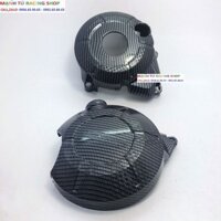ỐP LÓC MÁY TRÁI - PHẢI XI CARBON WINNER X