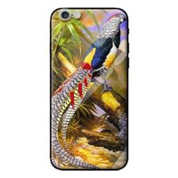 Ốp lưng kính cường lực cho iPhone 6S Plus CHIM 3 - Hàng chính hãng