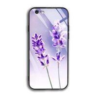 Ốp Lưng Kính Cường Lực Iphone 6 Plus  6S Plus - 03002 7782 LAVENDER02 - in hình hoa Lavender hoa Oải Hương - Hàng Chính Hãng