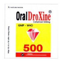 Oraldroxine-cefadroxil 500mg vidipha (h/100v)