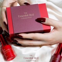 [ORD] "I'ZEMI - Essential Red Collection 8 colors ": Set sơn gel cao cấp Hàn quốc với 6 màu gel + 2 thạch đỏ