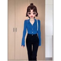 (ORDER) Áo len cổ bẻ POLO cài khuy chữ V thon gọn nhiều màu sang chảnh Hong Kong (Hàng QCL1)