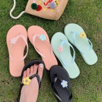 Order _ dép lào hoa