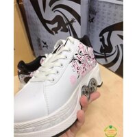 ORDER GIÀY THỂ THAO KIÊM TRƯỢT PATIN 4 BÁNH GẤP GỌN