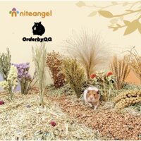 ORDER NITEANGEL Cành Cắm Ngũ Cốc Chuồng Hamster