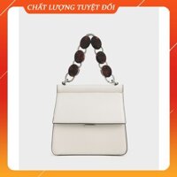 Order Túi xách Charles & Keith Small Acrylic Tortoiseshell Top Handle Bag