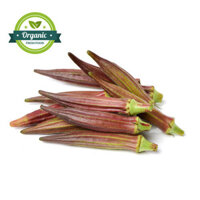 ORG LADY FINGER RED 250G