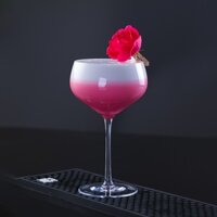 Orrefors Avantgarde Cocktail Glasses - Ly Thủy Tinh