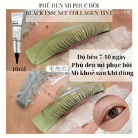 [Oshare] Phủ đen mi Black essence aroma collagen tint essence tinting (tuýp 10ml)