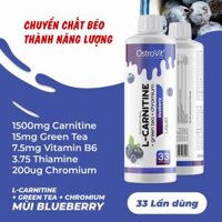 OstroVit L-Carnitine + Green Tea + Chromium Liquid Blueberry (500ml)