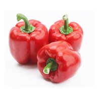 Ớt Chuông Đà Lạt Đỏ Túi 1kg